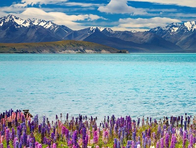 http://www.anrancoach.co.nz/tours/