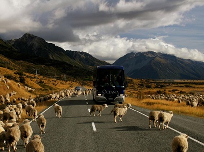 http://www.anrancoach.co.nz/tours/